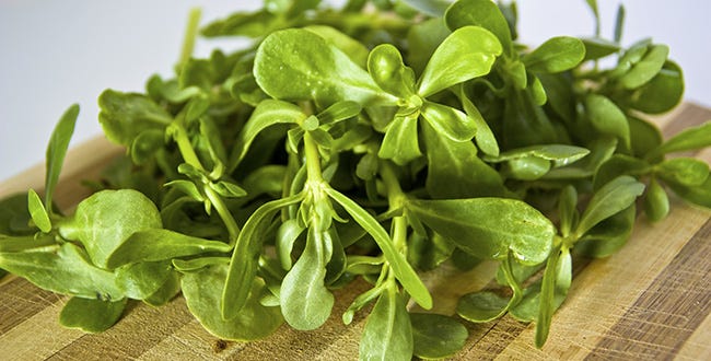 Eight Delicious Weeds You Should Eat Now | Prevention