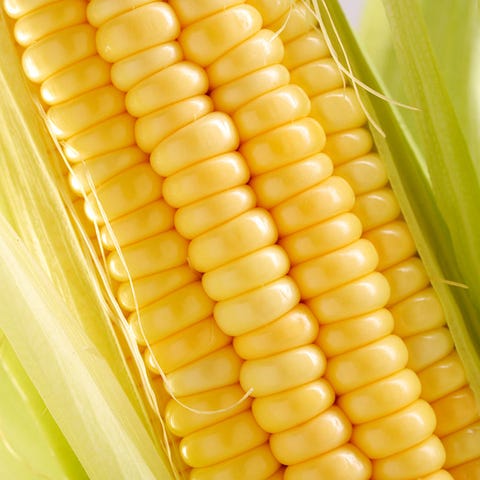 Sweet Corn Sweet Corn