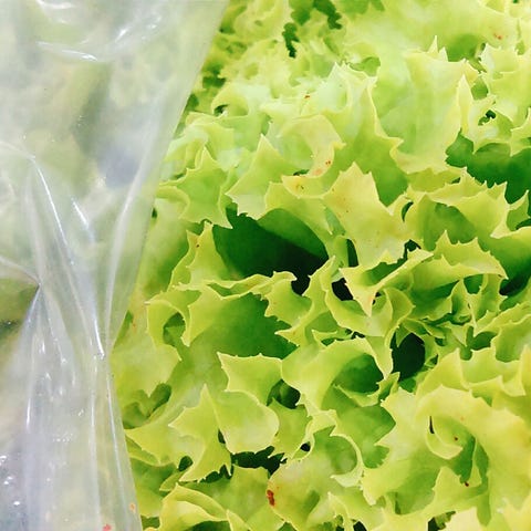 Bagged salad greens Bagged salad greens