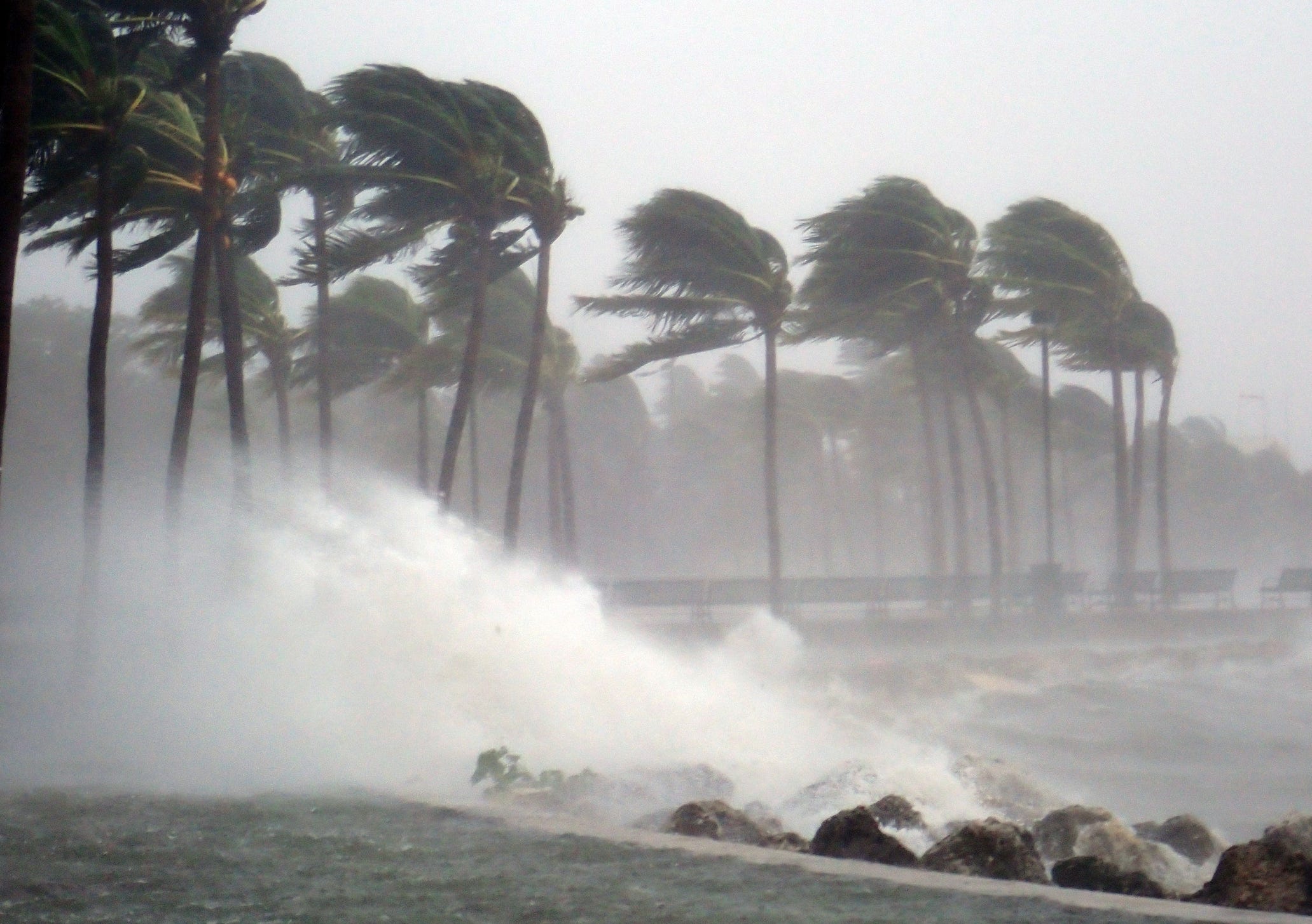 How to Prepare for Hurricane Dorian - 12 Things to Do Before the Storm Hits