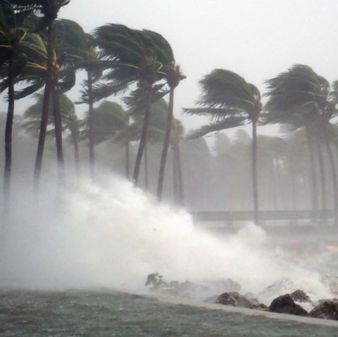 Hurricane Irma Strikes South Florida
