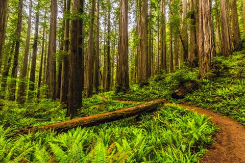 most beautiful national parks us