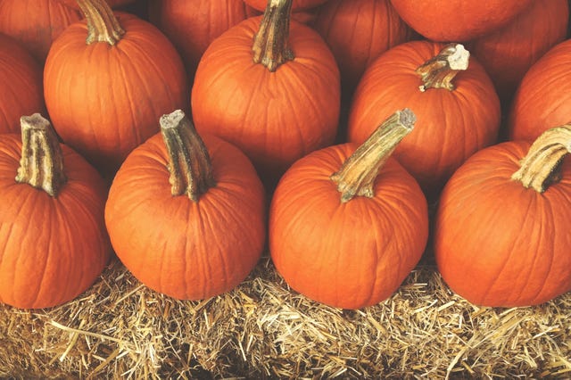 22 Best Fall Harvest Festivals Across America 2020