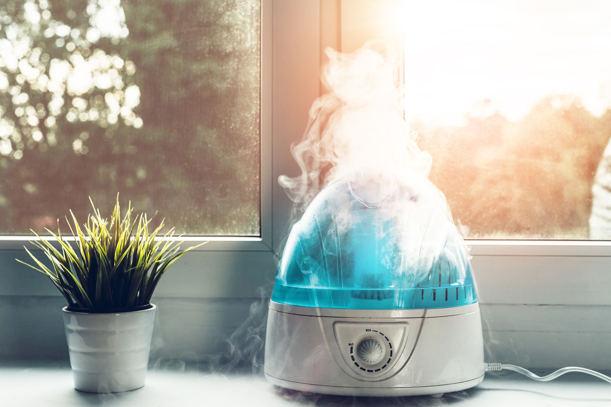 whole apartment humidifier