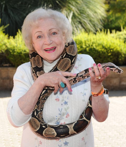 los angeles, ca   june 19  actress betty white poses with a snake at the greater los angeles zoo associations 40th annual beastly ball at los angeles zoo on june 19, 2010 in los angeles, california  photo by michael kovacfilmmagic