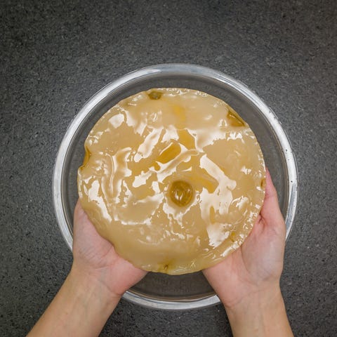 Hand holding kombucha scoby tea mushroom against stone background with bowl Hand holding kombucha scoby tea mushroom against stone background with bowl
