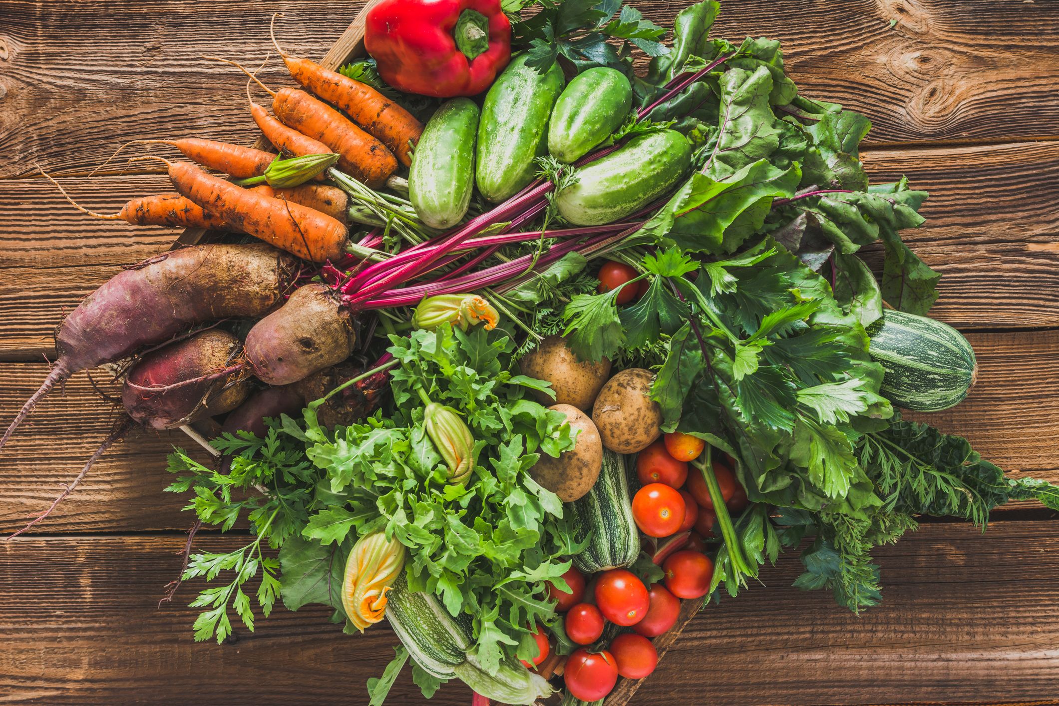 fall-vegetable-garden-texas-garden-collection-picture