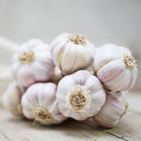 Close up of purple garlic bunch