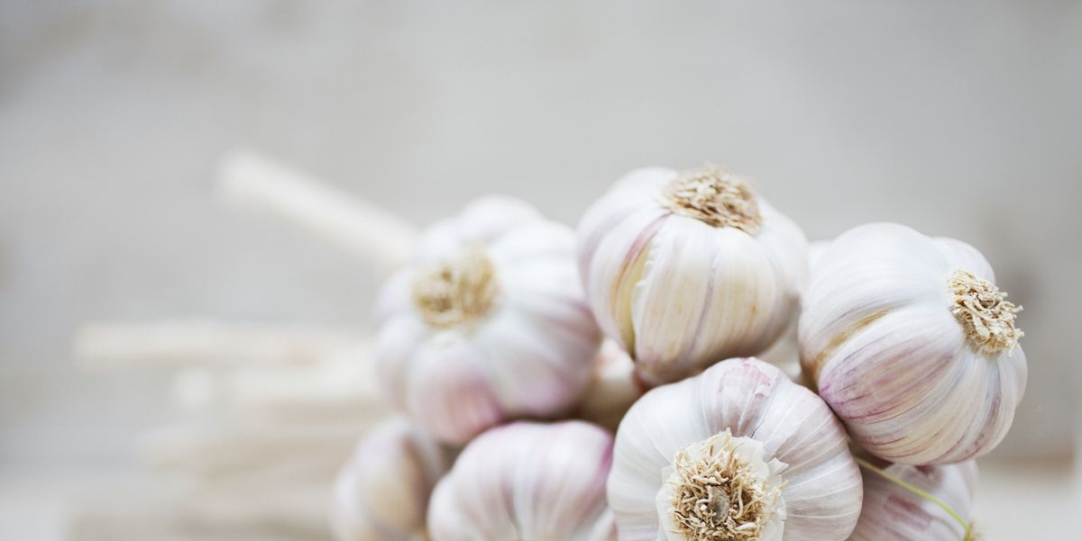 Please Stop Putting Garlic In Your Vagina—it Wont Cure A Yeast Infection