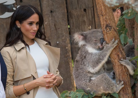 Meghan Markle On Royal Tour Of Australia Meghan Markle On Royal Tour Of Australia