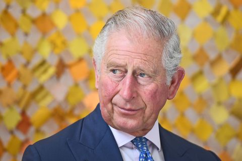 Prince Charles reveals his major fear about Prince Harry and Meghan Markle's baby