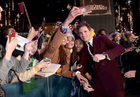 The cast of Fantastic Beasts on the most wonderful things fans have done for them