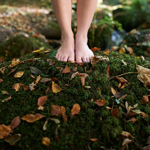 Feet on moss covered rock in autumn woodland.