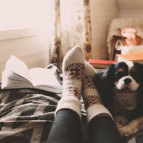 cozy winter day at home with cup of hot tea, book and sleeping dog. Spending weekend in bed, seasonal holidays and hygge concept