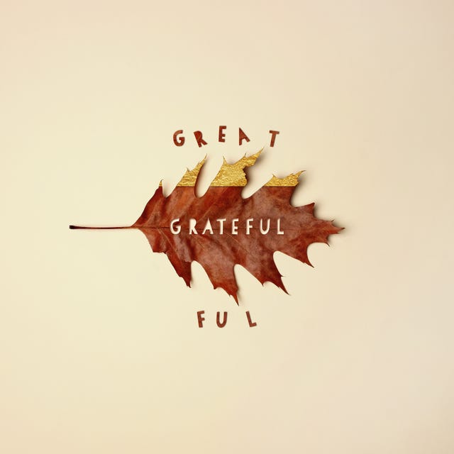 7 Practical Ways To Practise Gratitude Every Day