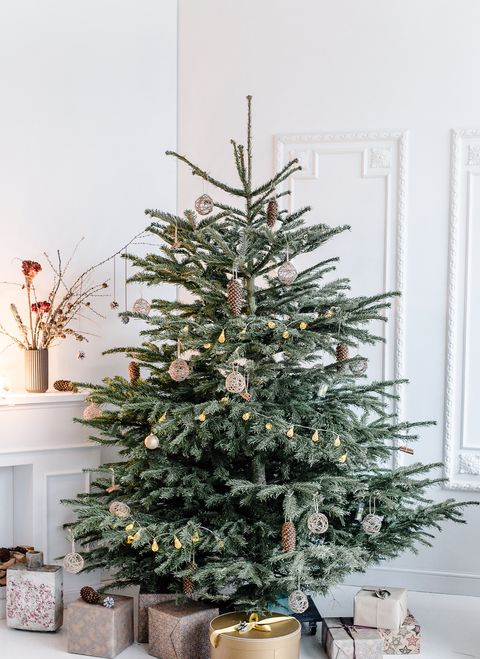 60 Stunning Christmas Tree Ideas Best Christmas Tree Decorations