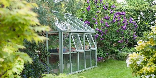 30 DIY Backyard Greenhouses - How to Make a Greenhouse