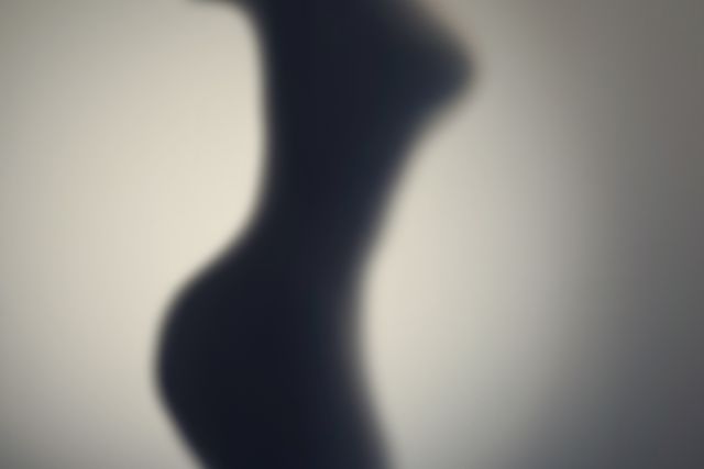 silhouette of naked womans body  behind glass door concept