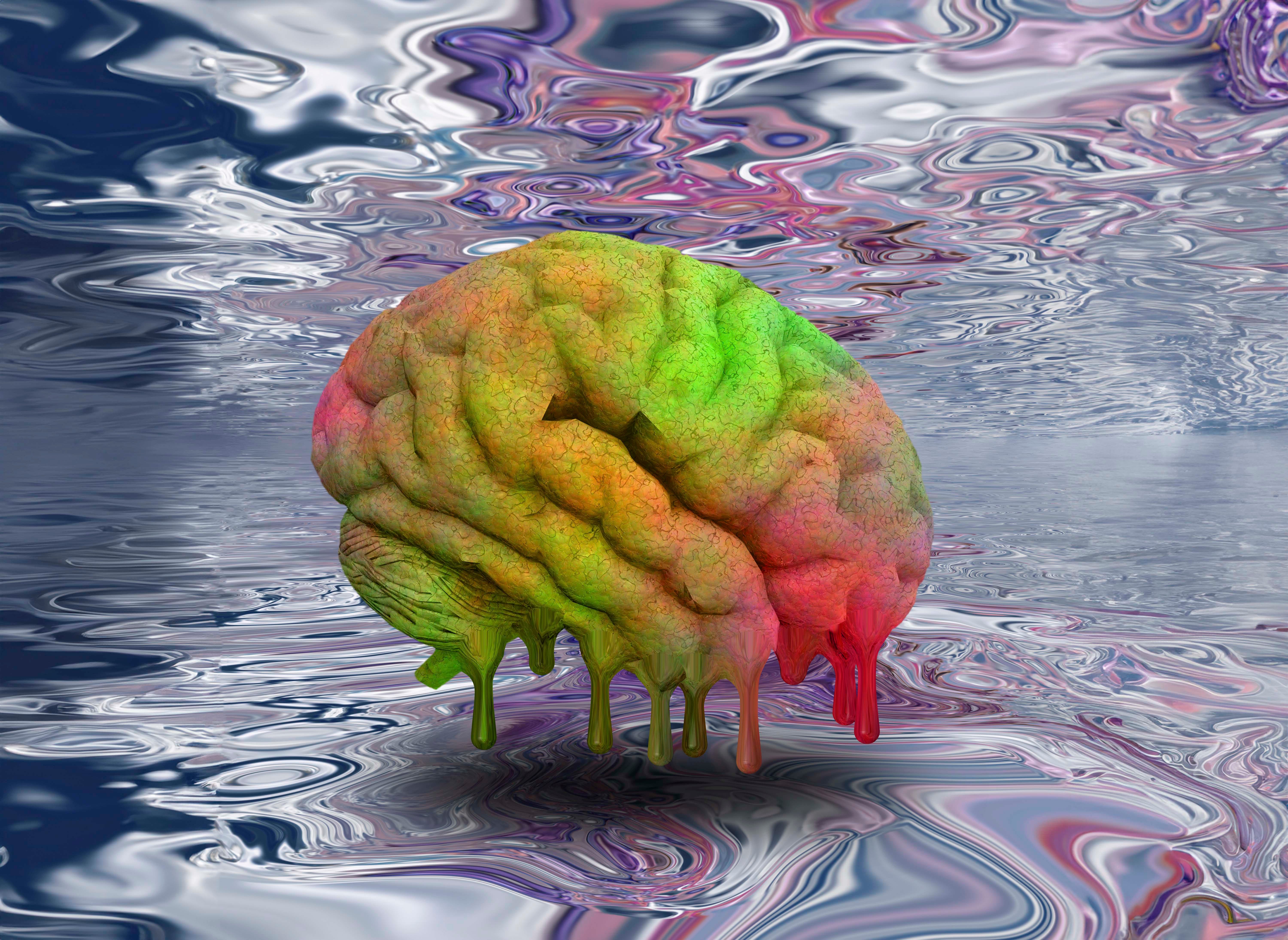 Customizable Psychedelic Trips Are on the Horizon, Scientists Say. Thank Your Gut's 'Second Brain.'