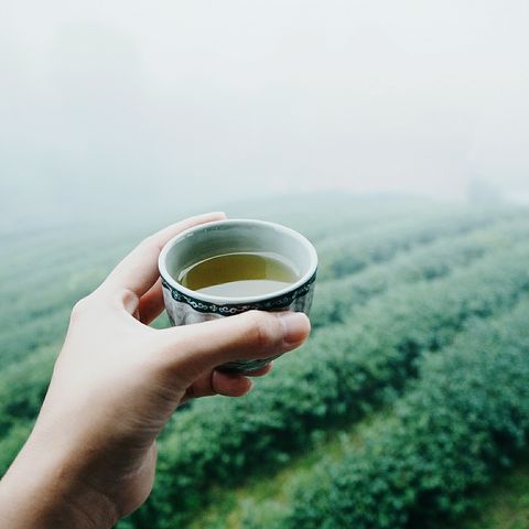 lợi ích sức khỏe của trà xanh