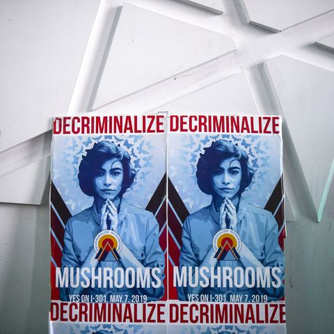 Denver Votes On Nation's First Referendum To Decriminalize Hallucinogenic Mushrooms