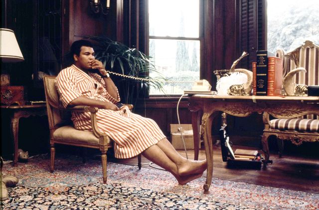 los angeles, ca   august 3 muhammad ali at home in los angeles  before his last fight with larry holmes, is it a real cat or a toy cat under the table, bottom left of the room, august 3, 1980 hancock park , los angeles, california  photo by paul harrisgetty images