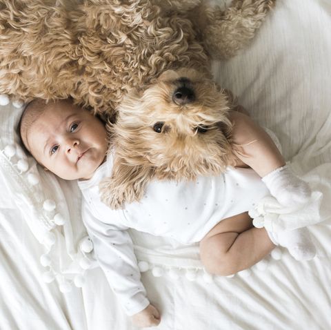 Baby Laying Next to Dog