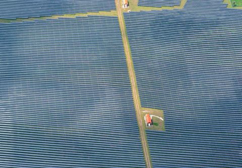 solar panels farming
