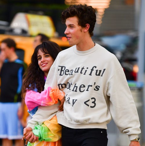 Shawn Mendes and Camila Cabello