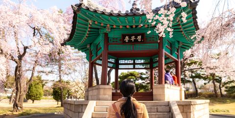 Asian woman sightseeing Korean pavilion in the park with the cherry blossoms are blooming in Seoul, South Korea.
