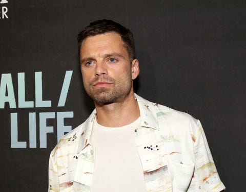 Sebastian Stan Isn't Scared Of An Oversized Shirt