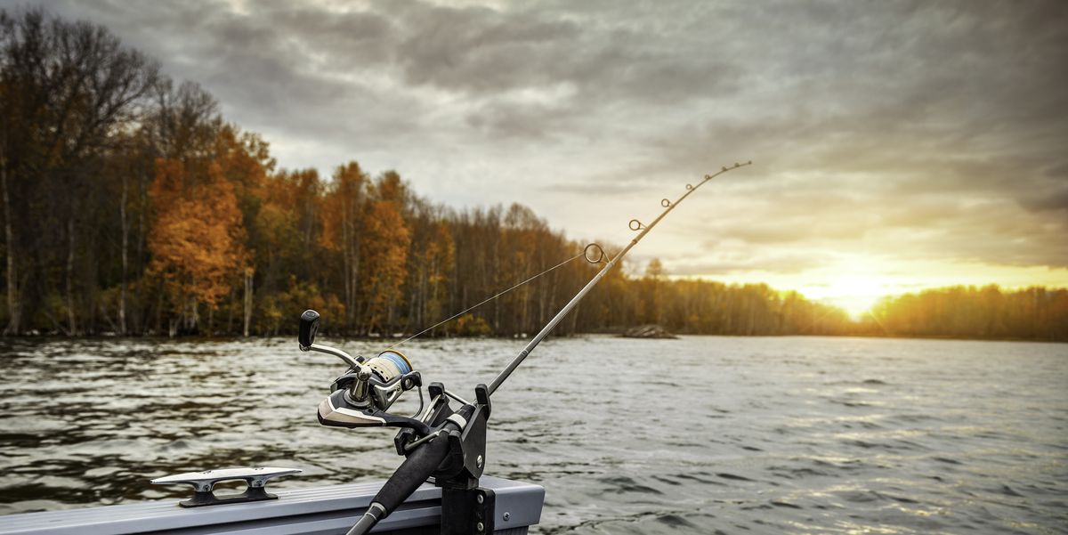 Best fishing rods and reels of 2020