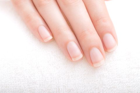 beautifully manicured fingernails of the young woman in the nail salon
