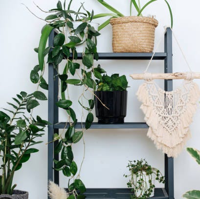 How to Keep Your Plants Alive When You're on Vacation