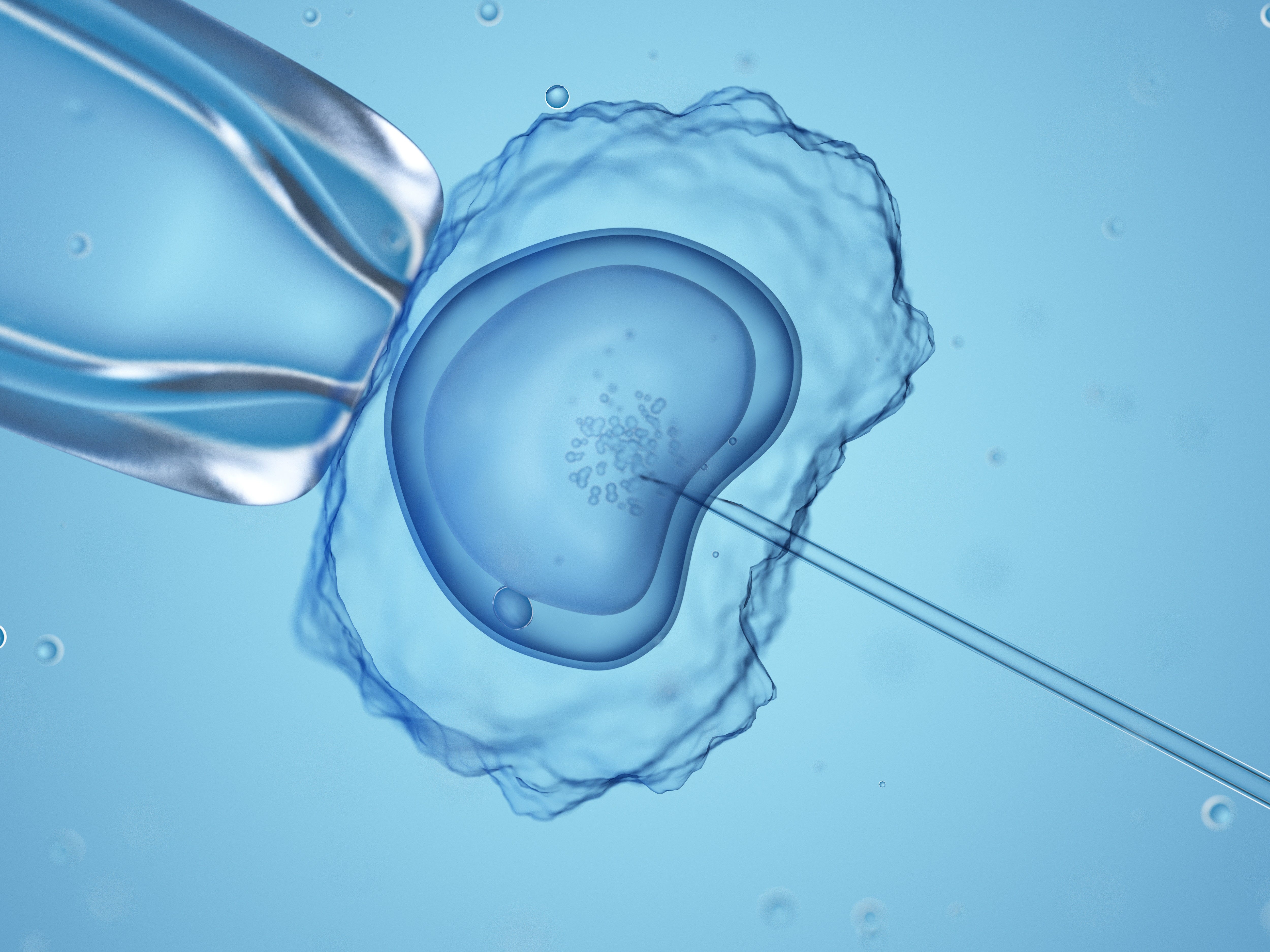 Game-Changer: The First Synthetic Human Embryos Now Exist