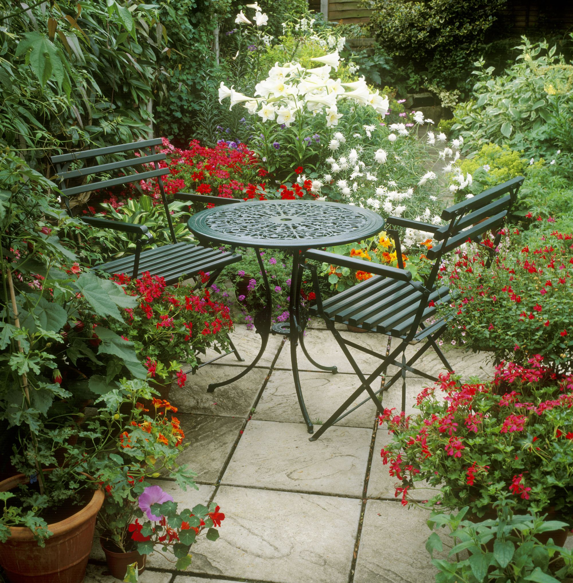 20 Best Patio Plants Lush Plants For Decks And Patios