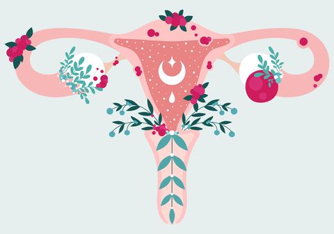 women health anatomical scheme of endometriosis uterus with plants and crescent endometrial disease   diagram of reproductive system