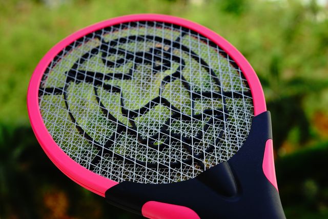 close up mosquito swatter