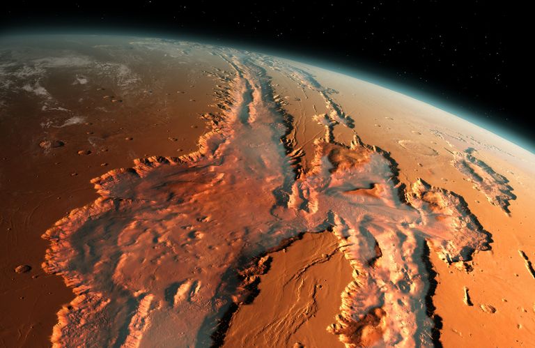 L'incredibile storia dei fossili trovati su Marte