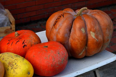 20 Best Facts About Pumpkins Fun Trivia And Info On Pumpkins