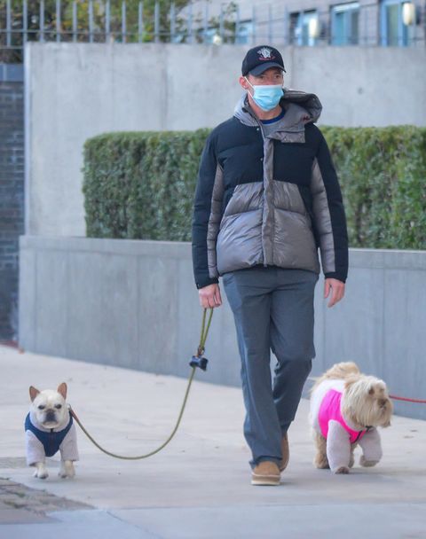 new york, ny   november 16  actor hugh jackman is seen walking his dog in soho on november 16, 2020 in new york city  photo by raymond hallgc images