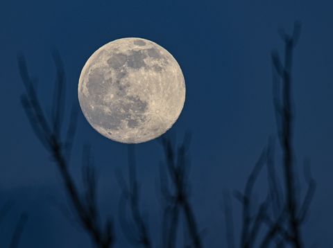 26 february 2021, brandenburg, jacobsdorf the waxing moon shines in the sky above bare branches of a tree on 27022021 is the next full moon photo patrick pleuldpa zentralbilddpa photo by patrick pleulpicture alliance via getty images
