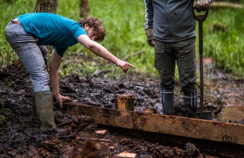 03 de agosto de 2021, mecklemburgo pomerania occidental, voluntarios de sassnitz del proyecto bergwald construyen una barrera de agua de madera en preparación para la rehumectación de las zonas pantanosas en el parque nacional más pequeño de alemania en la isla de rügen, en el mar báltico, que voluntarios de toda alemania quieren proteger moros se sequen aún más con mucho trabajo manual y, por lo tanto, también hagan algo contra el calentamiento global foto jens büttnerdpa zentralbilddpa foto por jens büttnerpicture alliance via getty images