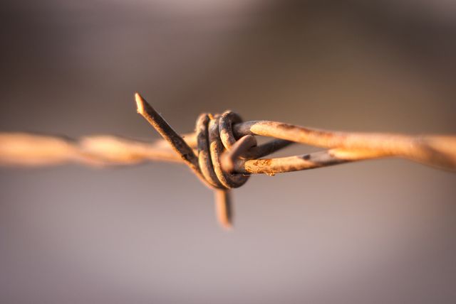close up of knots on a metal wire