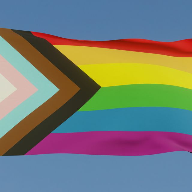 640px x 638px - LGBTQ+ Pride Flags and Their Meanings