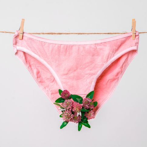 pink womens underwear decorated with flowers on clothesline isolated on white, concept photography for feminist blog high quality photo