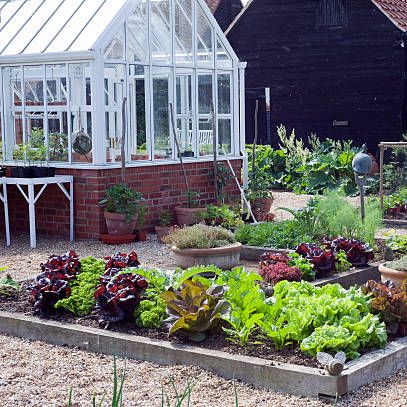 greenhouse and vegetable garden
