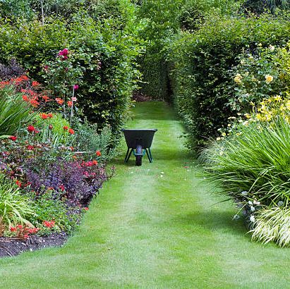 22 Best Summer Flowers For Your Garden, Easy Landscaping Plants Full Sun