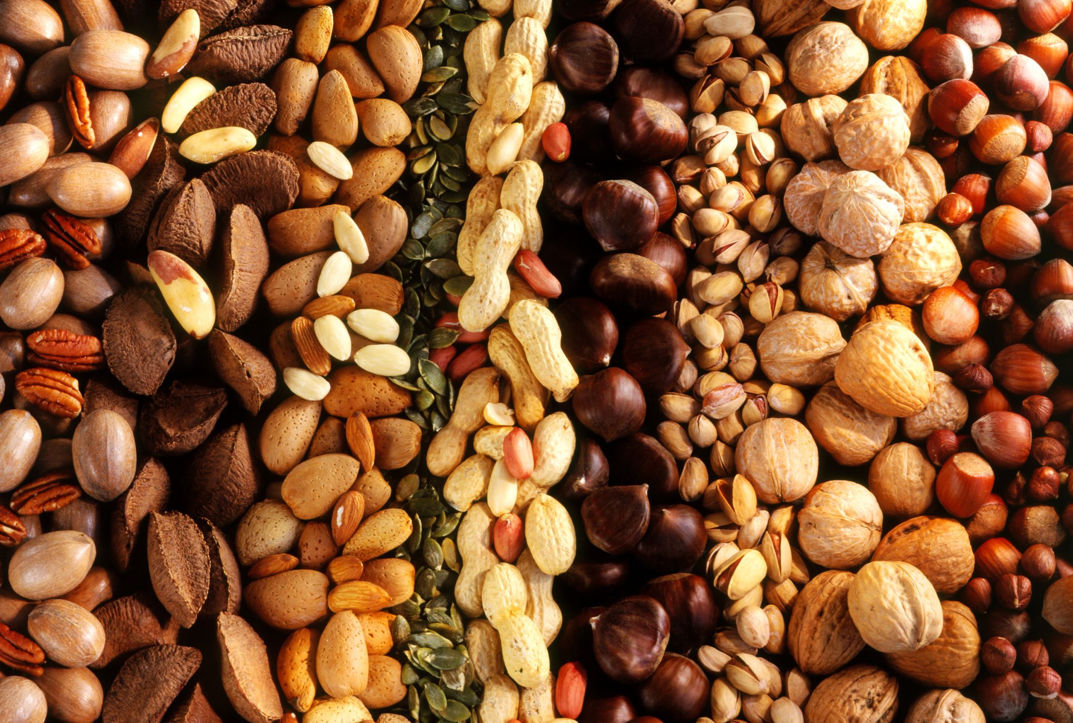 Types of Nuts | What Nuts are Good for You?