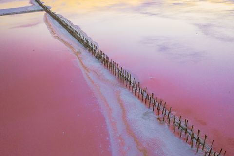 scenic aerial view of pink salt lake